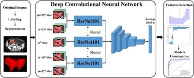 Frontiers Deep Learning Model For Diagnosing Early Gastric Cancer